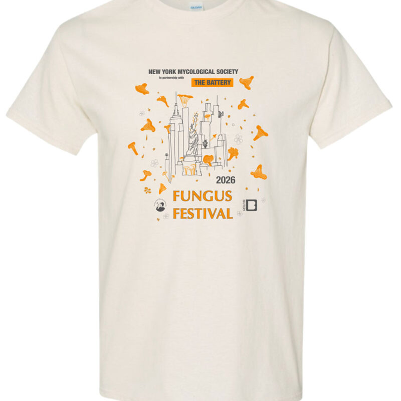 NYMS Fungus Festival Tee Beige